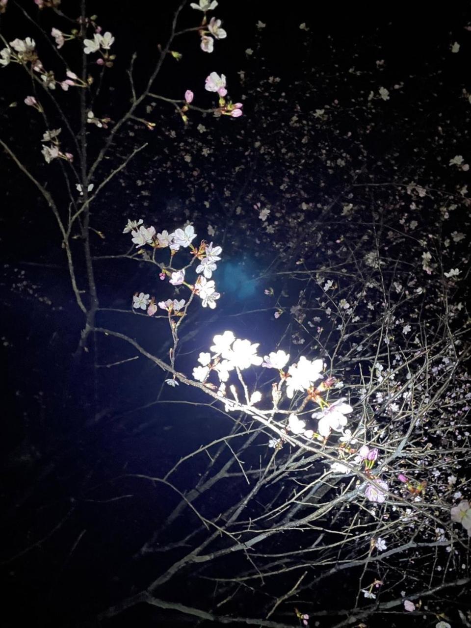 Kinugawa Keisui Otel Nikko Dış mekan fotoğraf