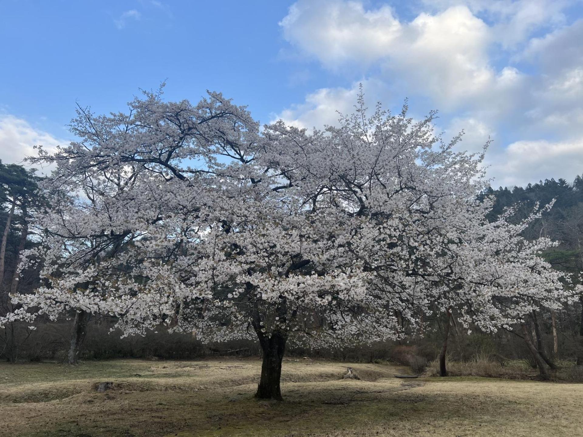 Kinugawa Keisui Otel Nikko Dış mekan fotoğraf