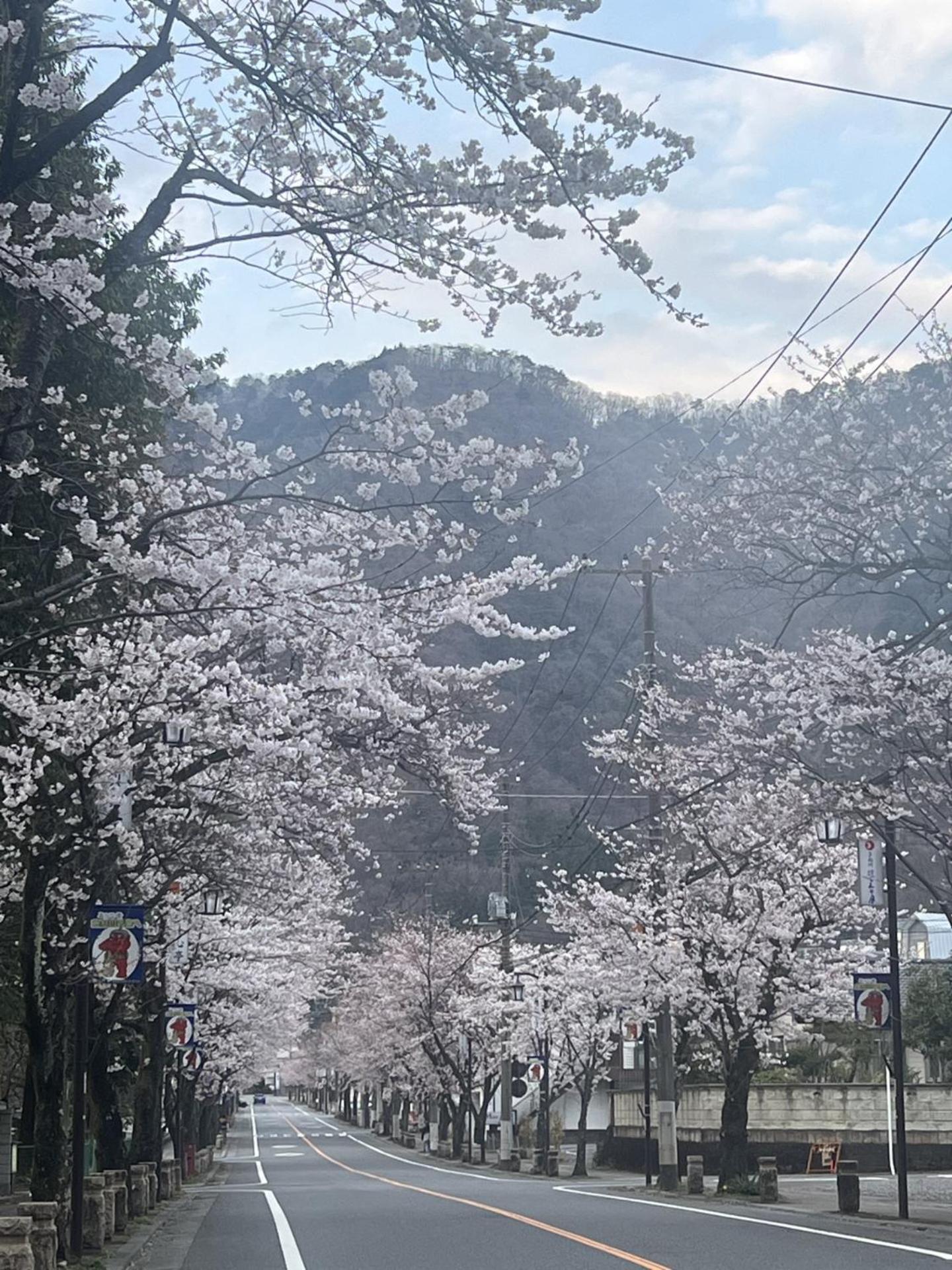 Kinugawa Keisui Otel Nikko Dış mekan fotoğraf