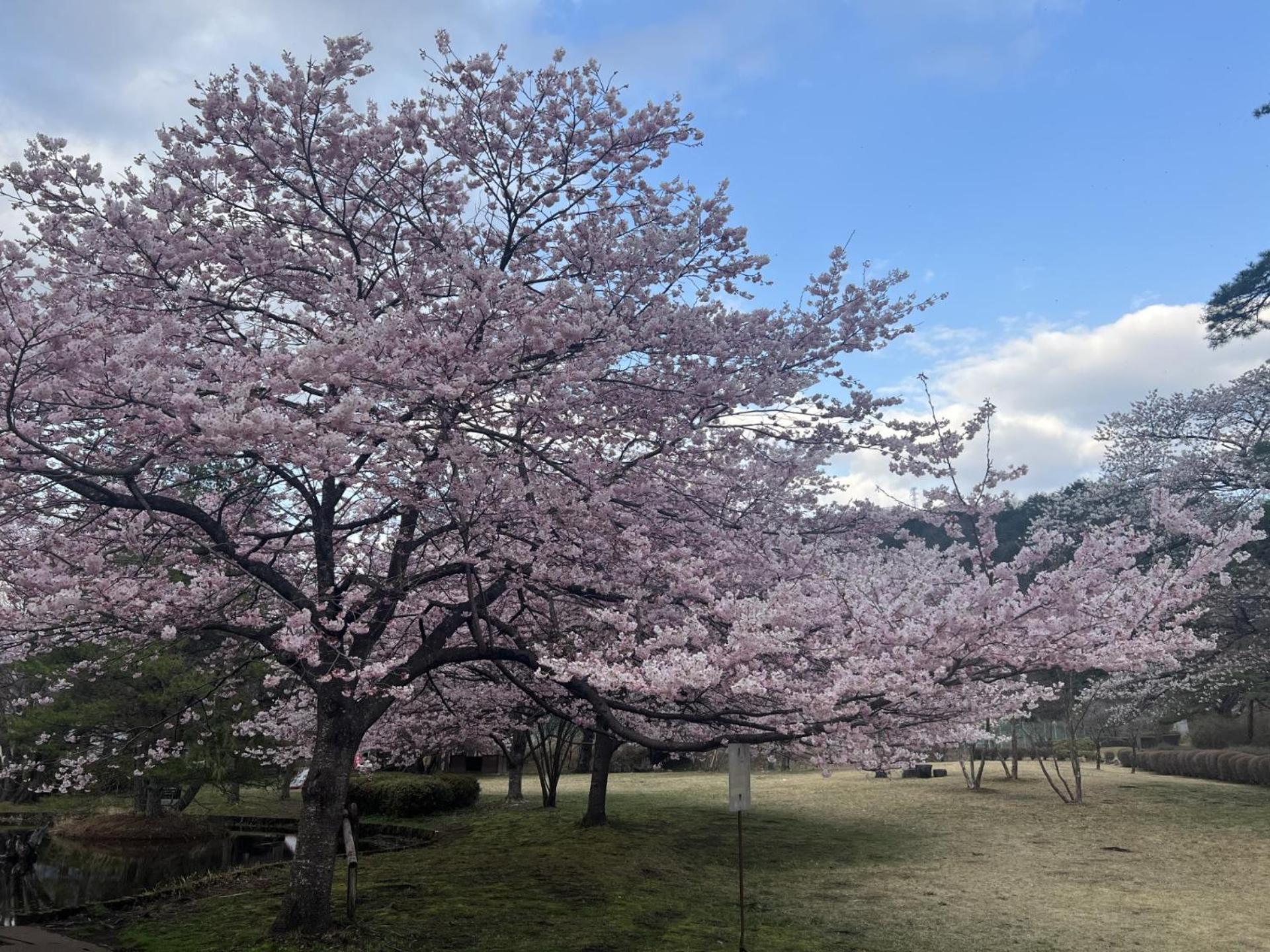 Kinugawa Keisui Otel Nikko Dış mekan fotoğraf