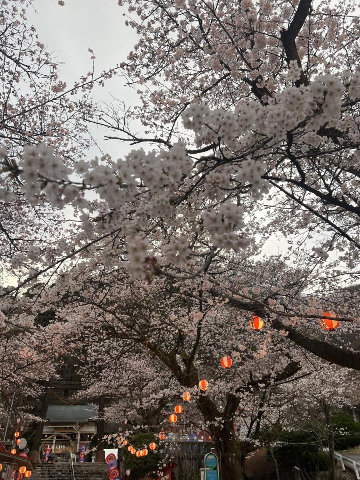 Kinugawa Keisui Otel Nikko Dış mekan fotoğraf
